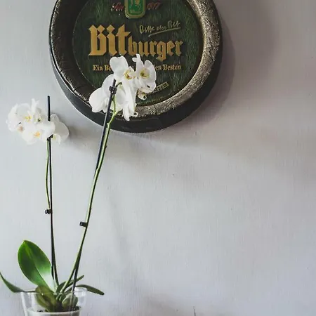 Pod Lipami 3* Lipno (Leszno)