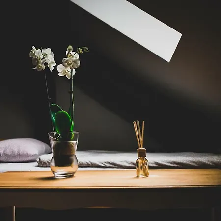 Pod Lipami Lipno (Leszno)