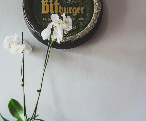 Pod Lipami 3* Lipno (Leszno)