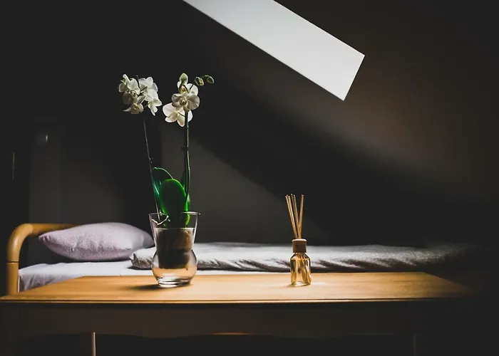 Pod Lipami Lipno (Leszno)